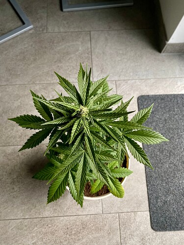 Growreport Bild 7