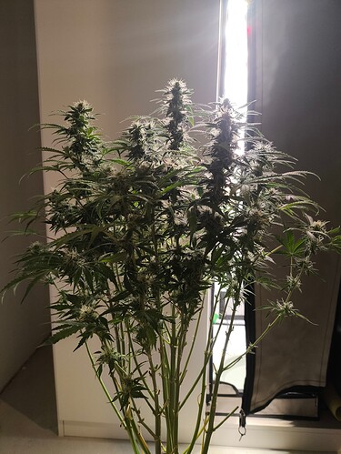 Growreport Bild 14
