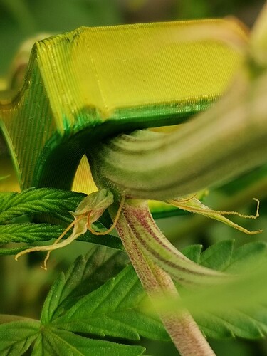 Growreport Bild 23