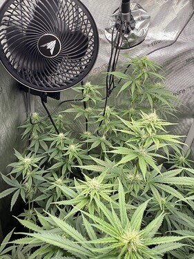 Growreport Bild 4
