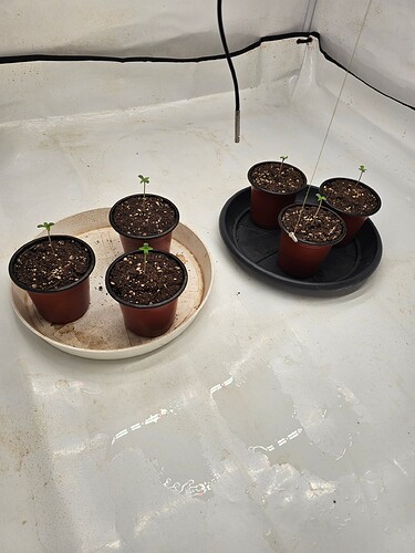 Growreport Bild 10