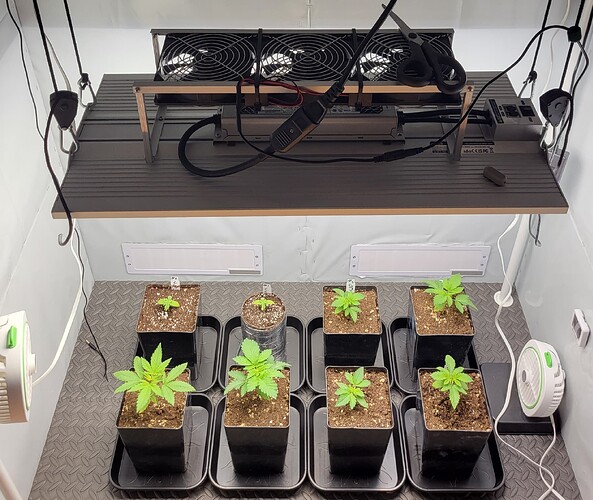 Growreport Bild 1