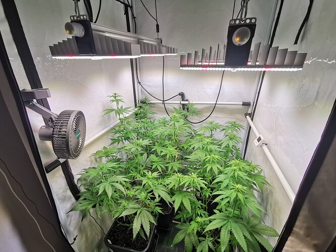 Growreport Bild 18