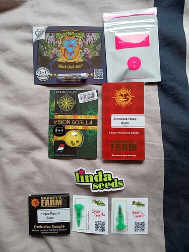 IMG_20240409_104350002