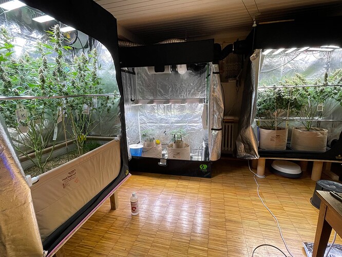 Growreport Bild 23