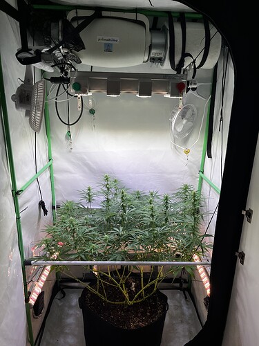 Growreport Bild 1