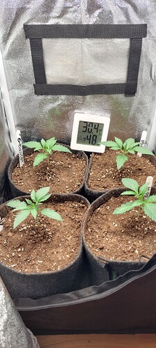 Growreport Bild 1