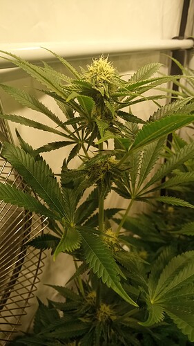 Growreport Bild 11
