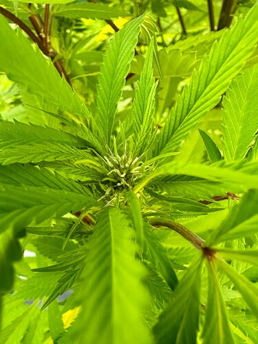 Growreport Bild 4