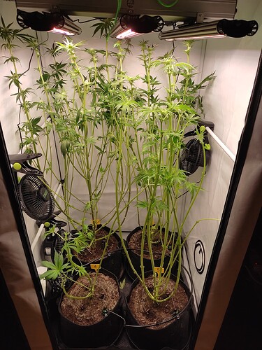 Growreport Bild 13