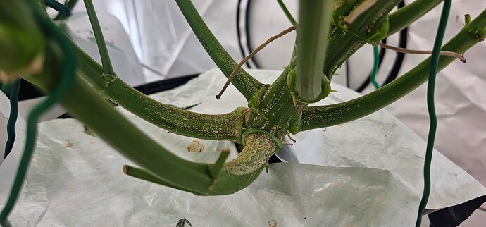 Growreport Bild 9