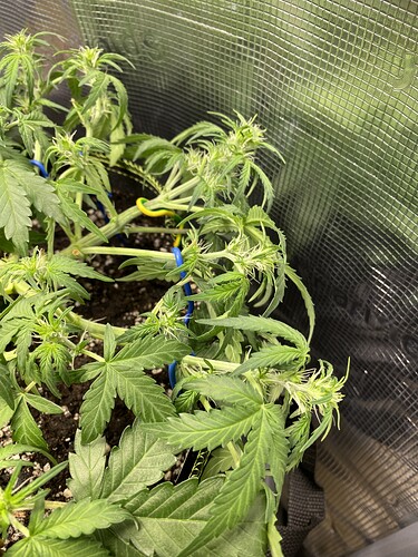 Growreport Bild 22