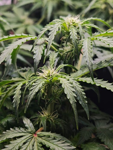 MVIMG_20251022_164953