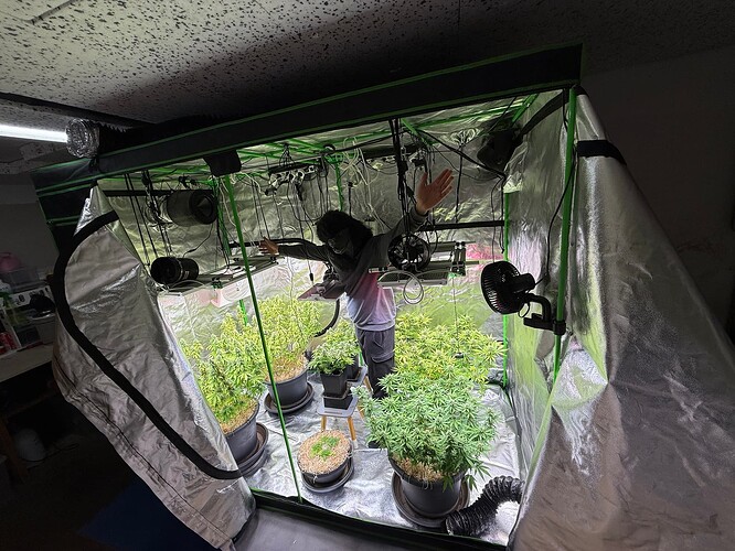 Growreport Bild 3