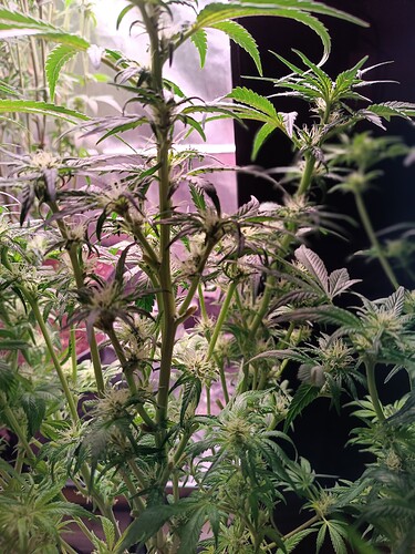 Growreport Bild 5