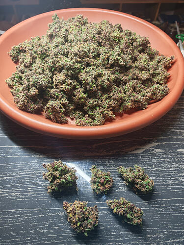 Growreport Bild 4
