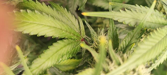 Growreport Bild 19
