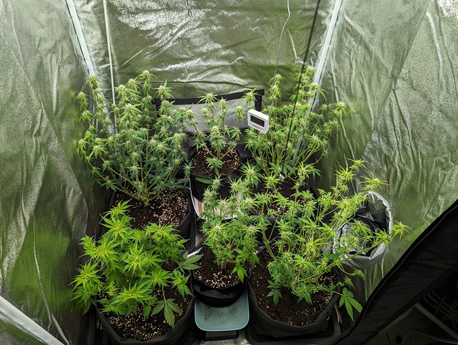 Growreport Bild 4