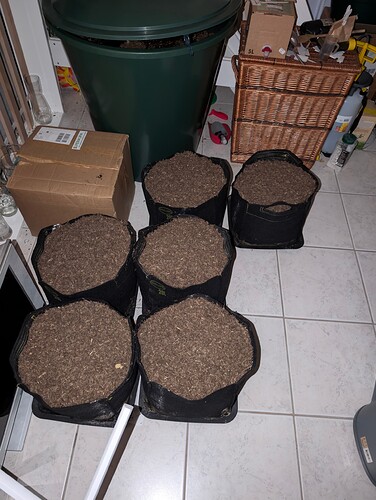 PXL_20241019_182038004