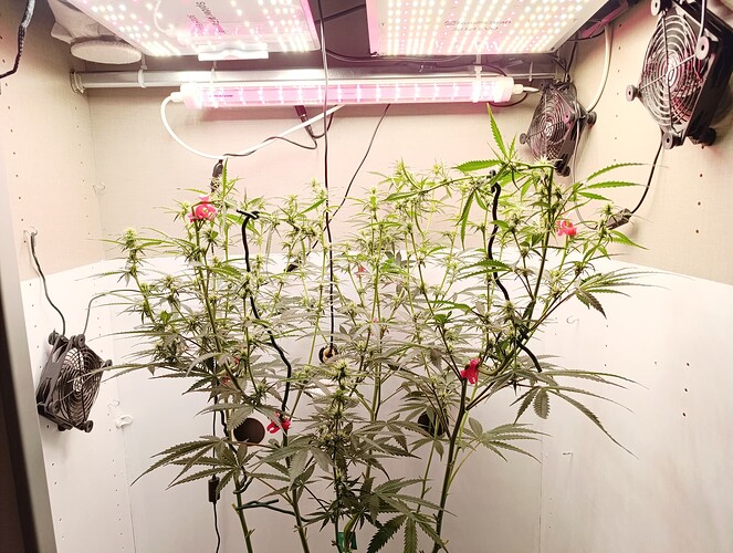 Growreport Bild 21