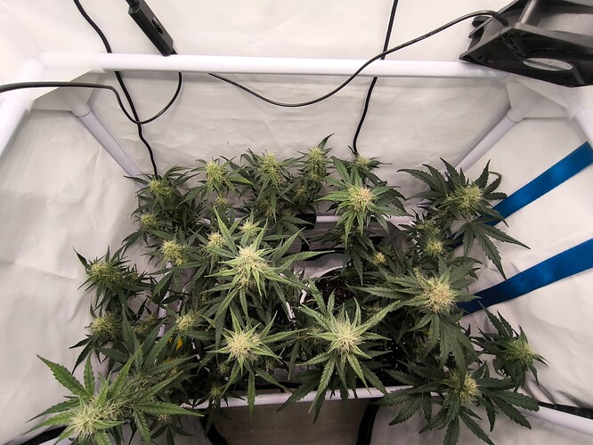 Growreport Bild 15