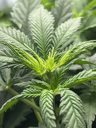 Growreport Bild 4