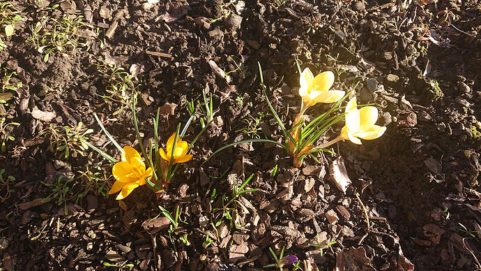 DSC_4578_1772031024921