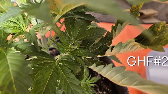Growreport Bild 26