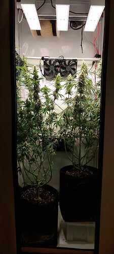 Growreport Bild 2