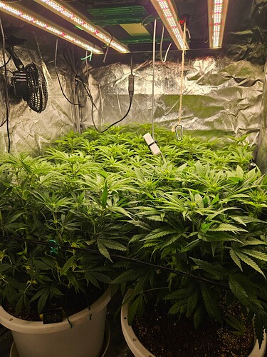 Growreport Bild 10