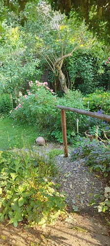 Growreport Bild 32