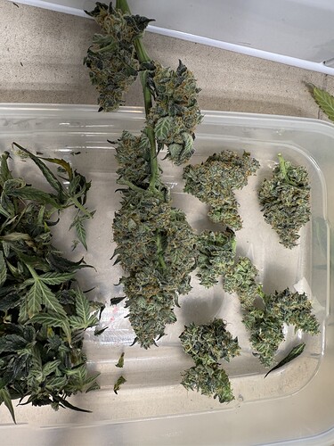 Growreport Bild 21