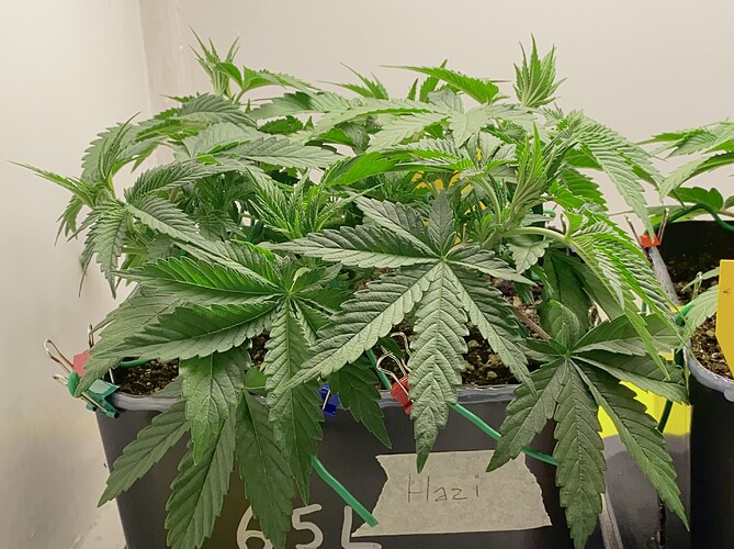 Growreport Bild 10