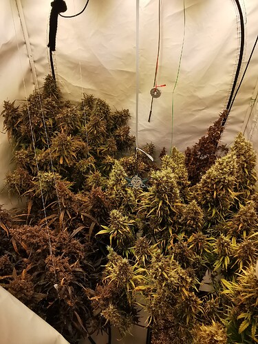 Growreport Bild 4
