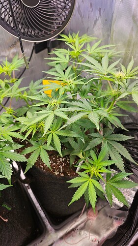 Growreport Bild 24