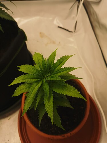 Growreport Bild 19