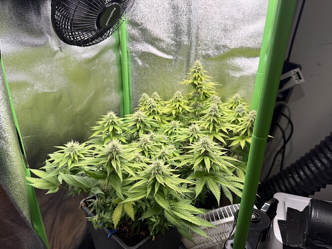Growreport Bild 17