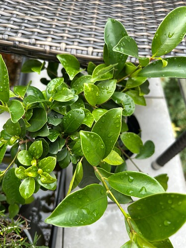 Growreport Bild 23