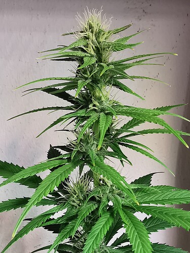 Growreport Bild 10