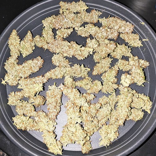 Growreport Bild 2