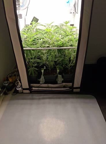 Growreport Bild 11