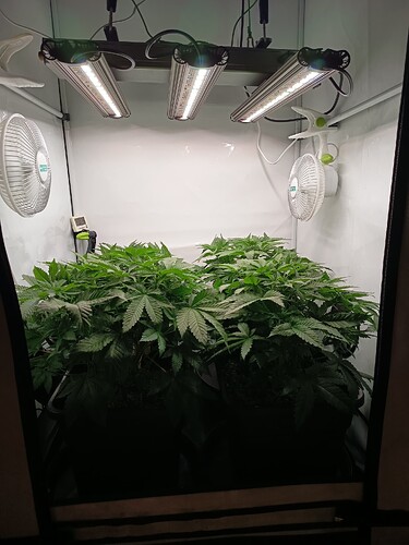 Growreport Bild 6
