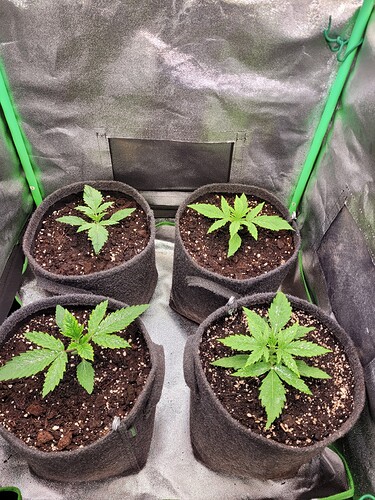 Growreport Bild 8