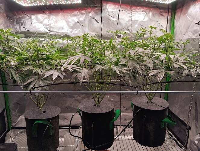 Growreport Bild 10