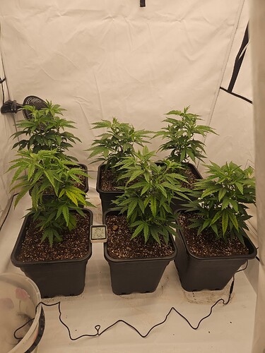 Growreport Bild 20