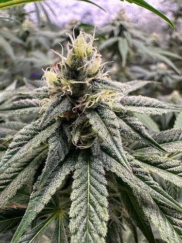 Growreport Bild 11