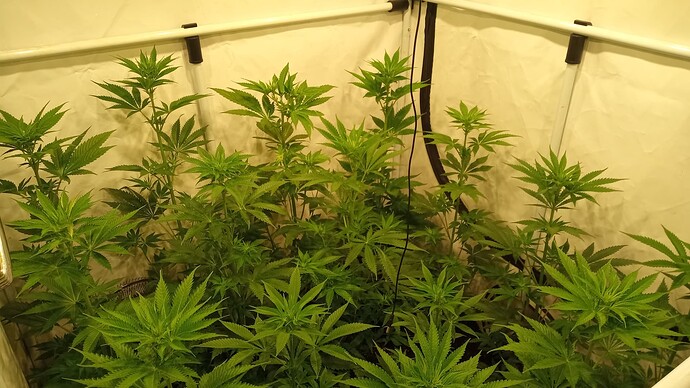 Growreport Bild 13