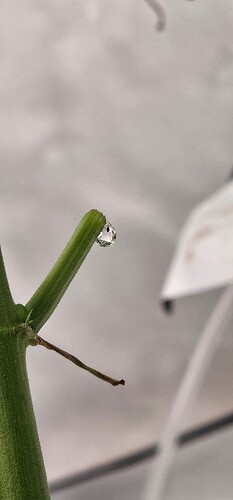 Growreport Bild 20
