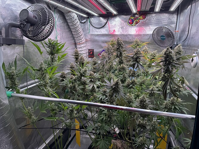 Growreport Bild 1