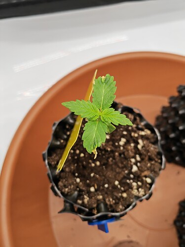 Growreport Bild 19